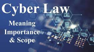 cyber law
