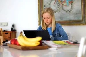 Challenges and Solutions for Schools in Navigating the Digital World