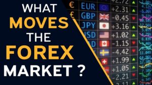 What Moves the Forex Market