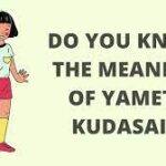 What Does Onii Chan Yamete Kudasai Mean?