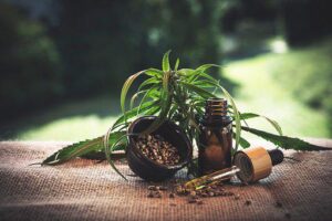 CBD has led to an increase in production by hemp farmers