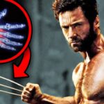Everything You Need to Know About Wolverine – History, Facts, and More