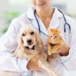 24/7 Pet Care: How Emergency Vet Services Can Save Your Furry Friend’s Life